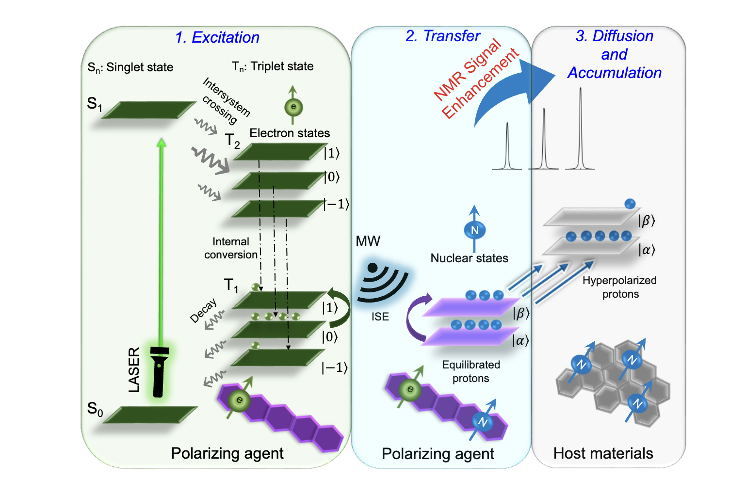 Dynamic Nuclear Polarization: State of the Art and Future Possibilities in Quantum Sensing Using Light-Activation